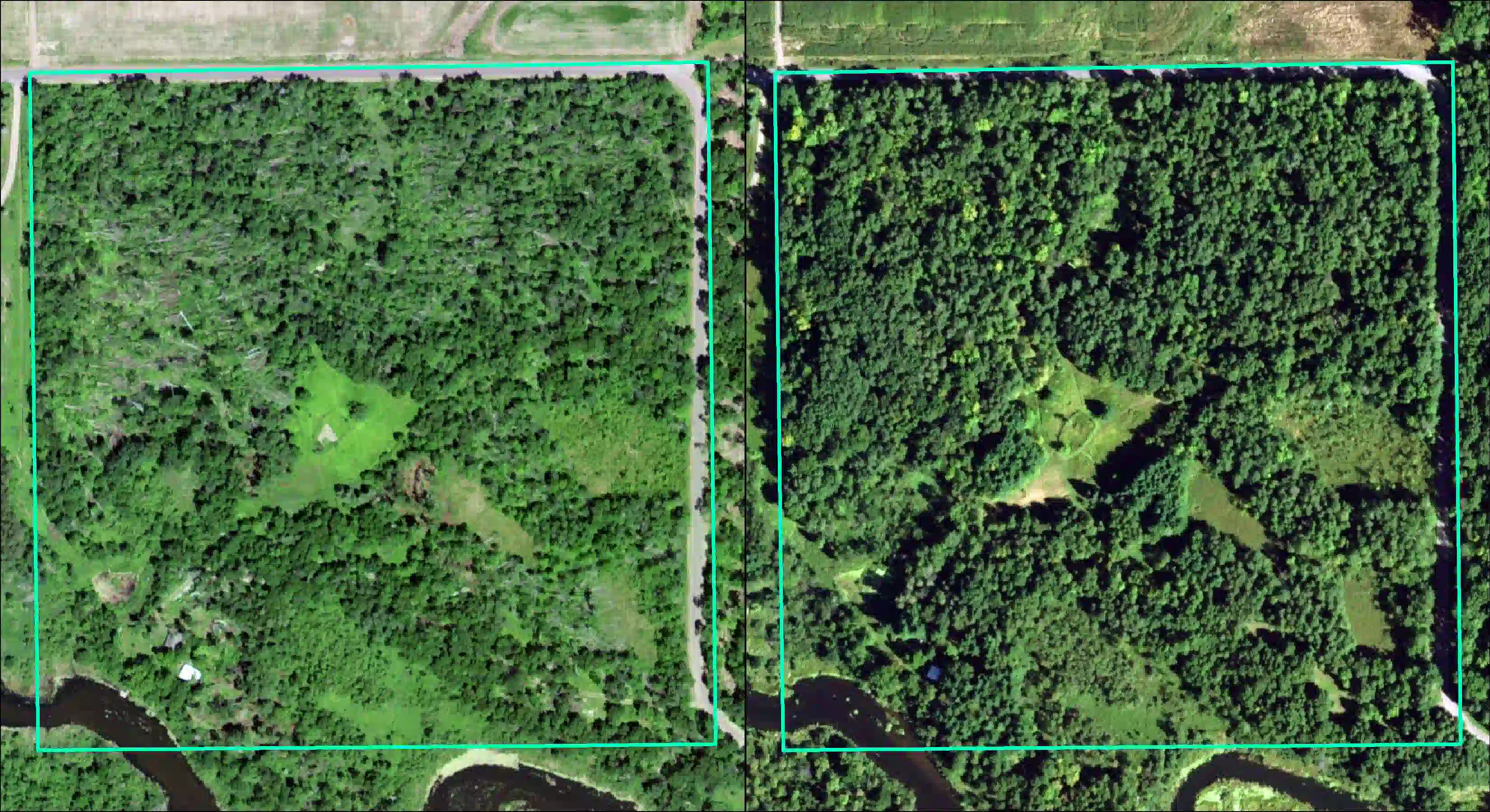 A side-by-side comparison of two leaf-on aerial imagery. Property boundary is presented for reference as a square turquoise outline.