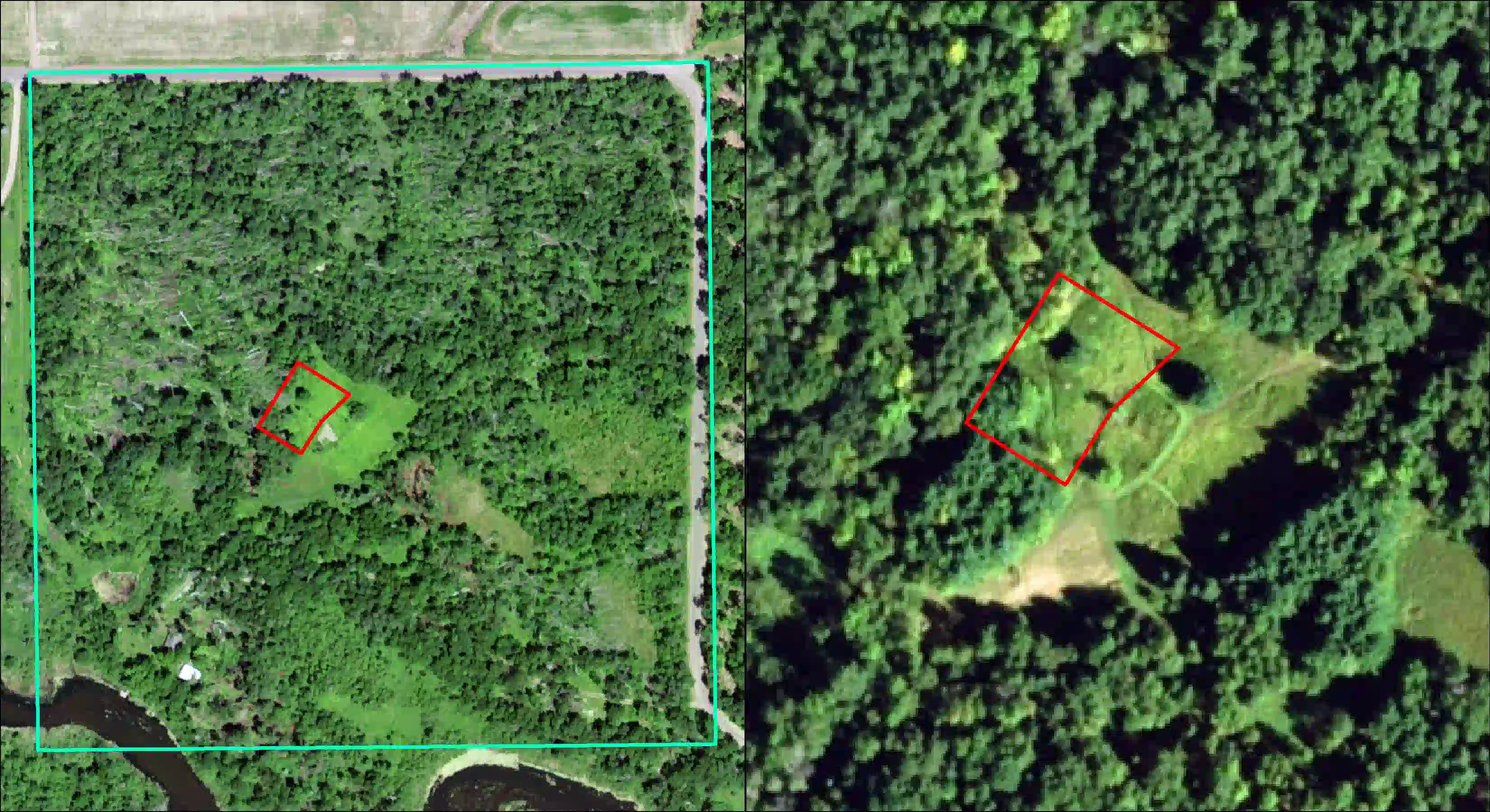 A side-by-side comparison of two leaf-on aerial imagery. Planned orchard shown for reference with a red outline.